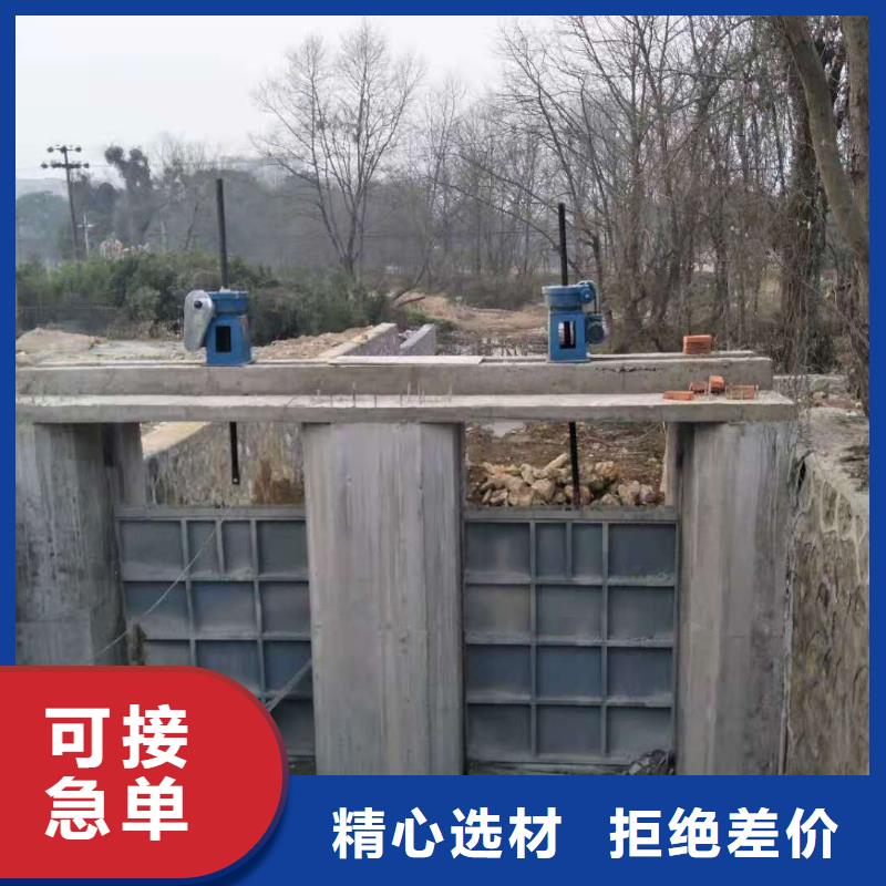翻板閘門工廠直銷
