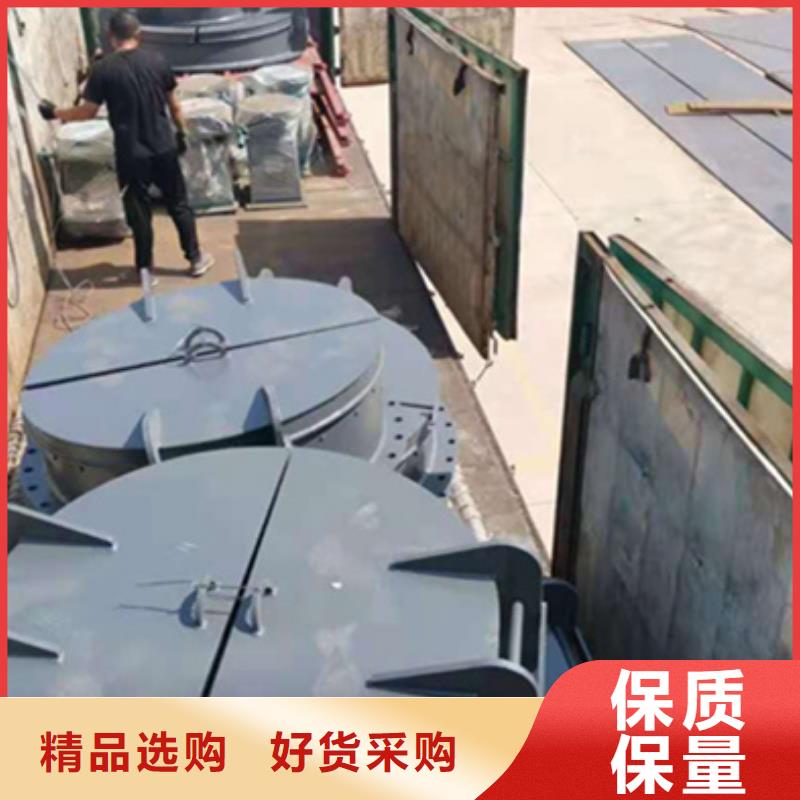 鋼閘門-翻板閘門按需定制真材實料