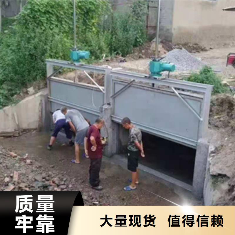 鋼制平面閘門品質(zhì)卓越