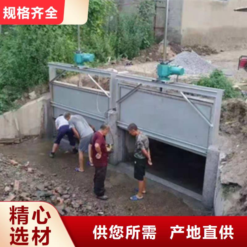 鋼閘門啟閉機閘門廠家當日價格