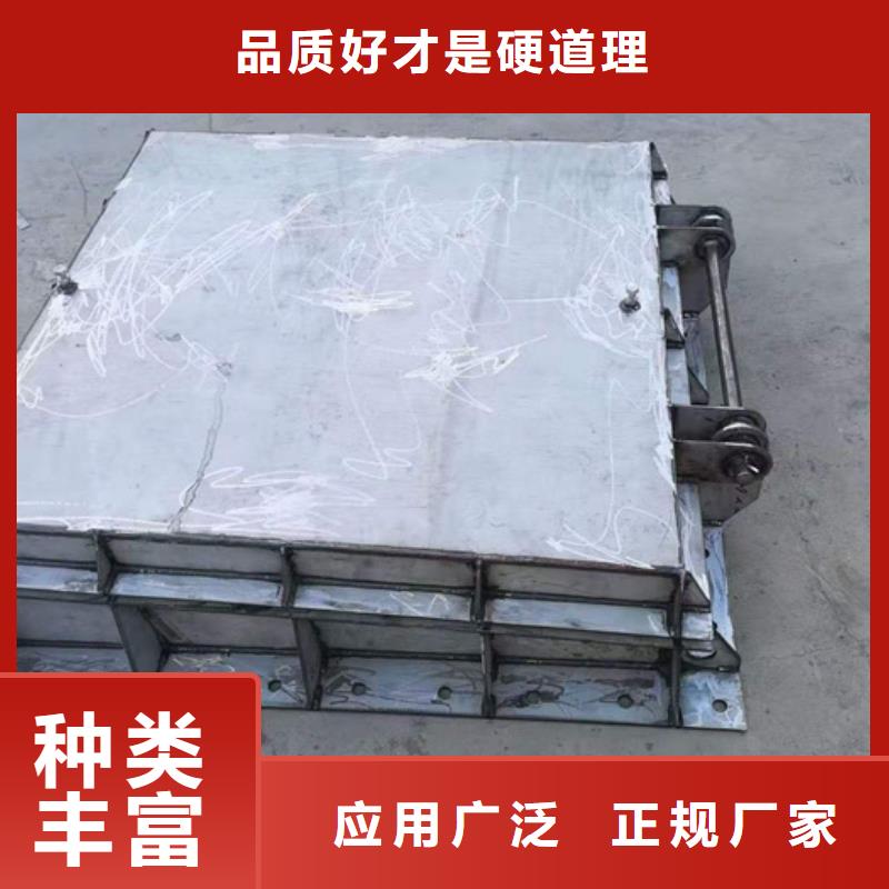 鋼閘門球墨鑄鐵閘門大廠生產品質