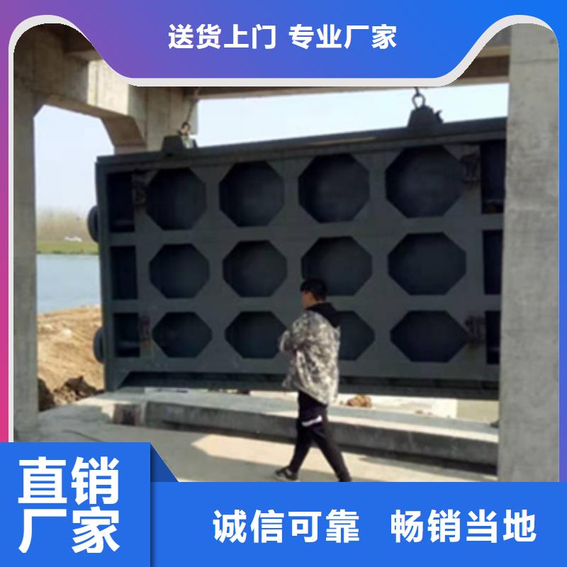 【钢闸门】-启闭机闸门厂家优良材质