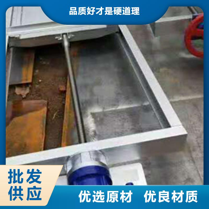 景觀鋼閘門規(guī)格齊全