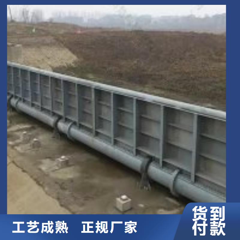 鋼閘門精工制作