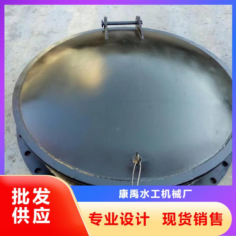 保亭縣泵站上臥式閘門支持定制