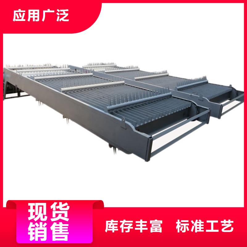 清污機鑄鐵閘門定制定做