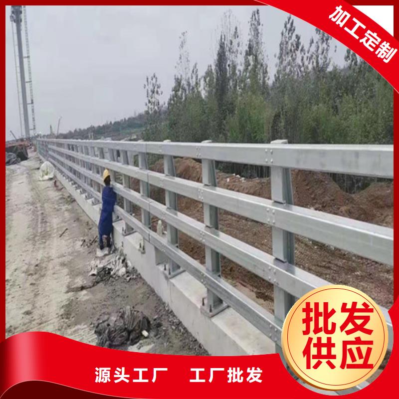 2025專注品質##鍍鋅噴塑防撞護欄##質量保證
