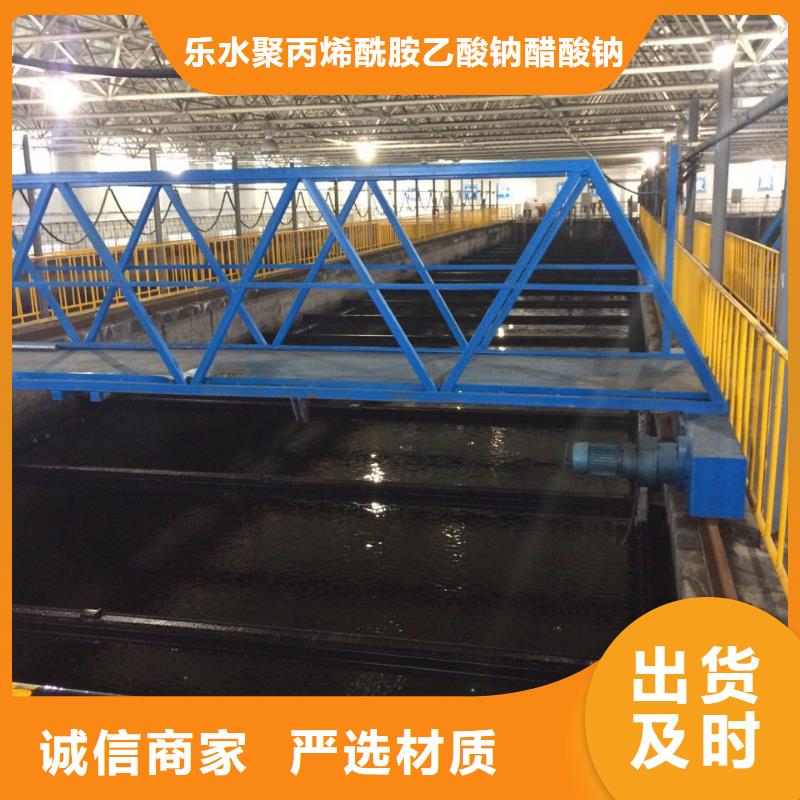 陽離子聚丙烯酰胺【片堿】一站式供應廠家