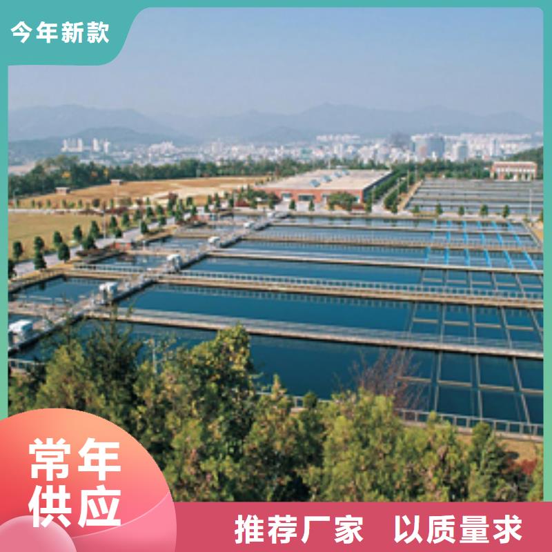 陽離子聚丙烯酰胺【片堿】一站式供應廠家