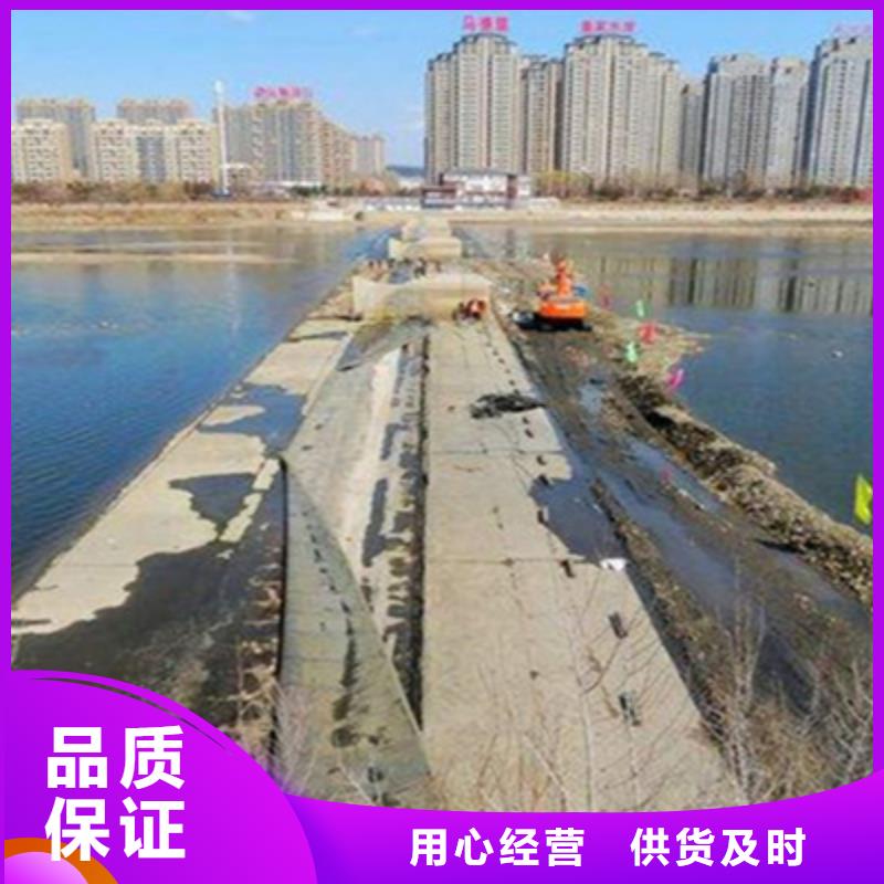 拆除更換舊壩袋施工團隊