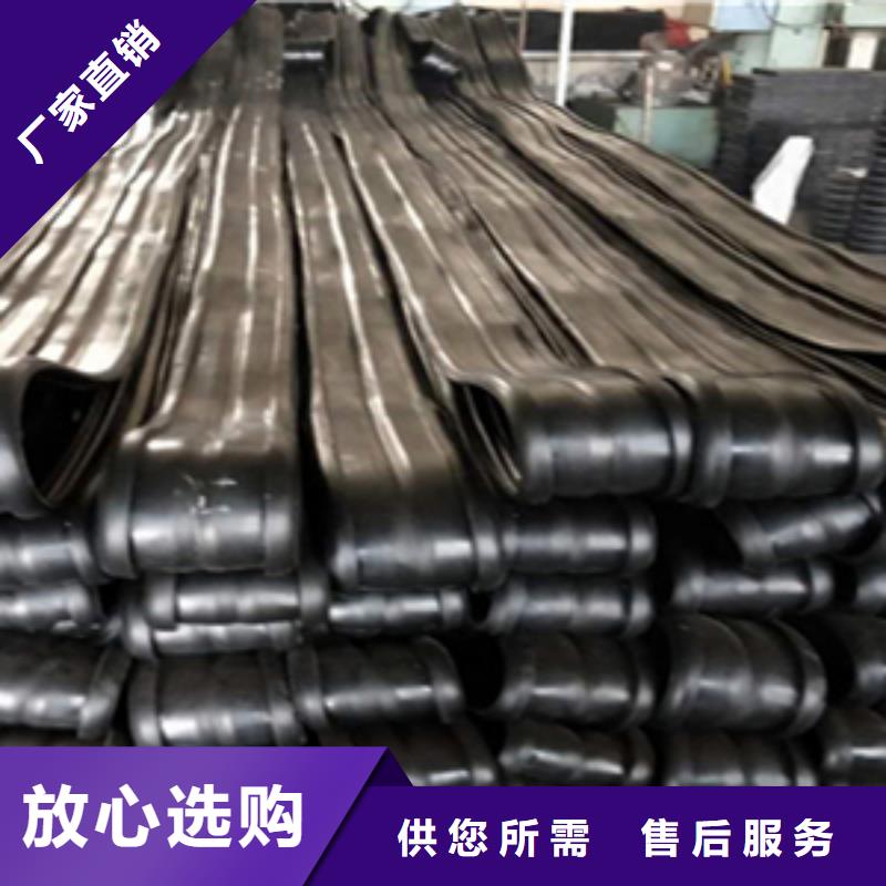 伸縮縫橡膠條更換施工隊伍瓊海市