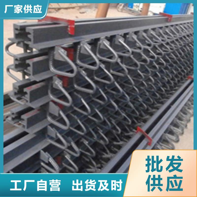 160型橋梁伸縮縫規格型號全生產廠家