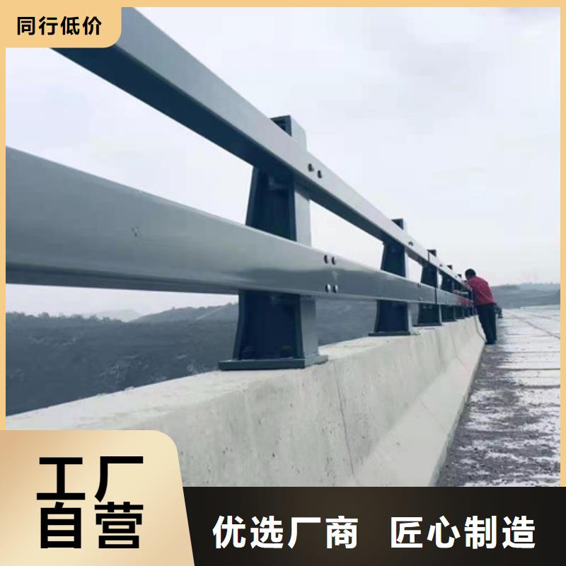 周边不锈钢桥梁护栏供应商