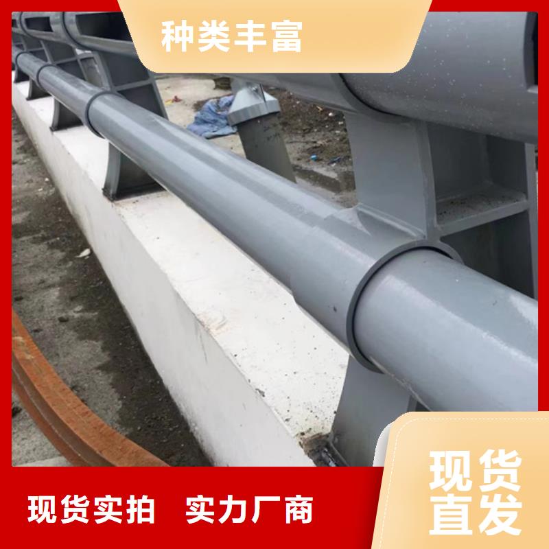 桥梁隔离护栏企业-实力大厂