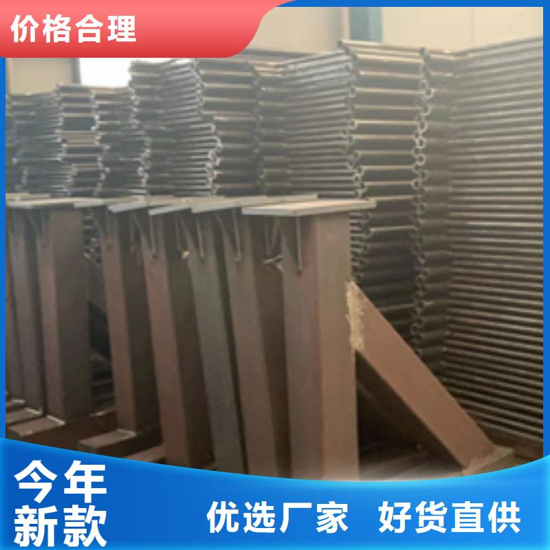 道路護(hù)欄 不銹鋼景觀護(hù)欄專業(yè)生產(chǎn)團(tuán)隊(duì)