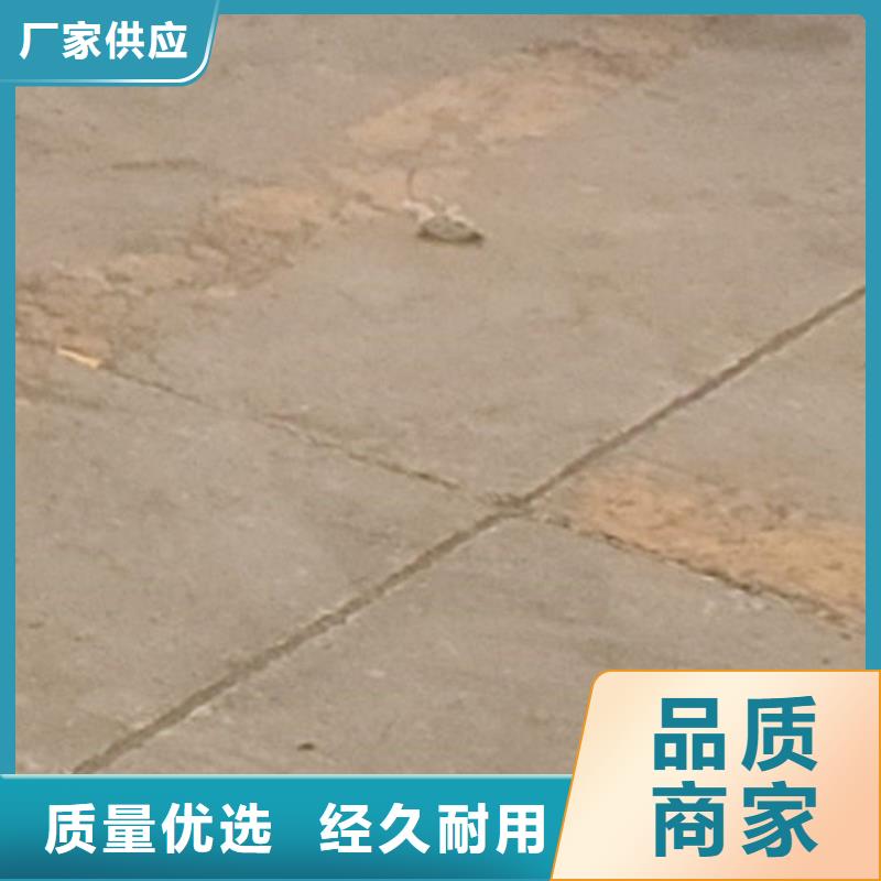 護欄_河堤防撞護欄讓利客戶