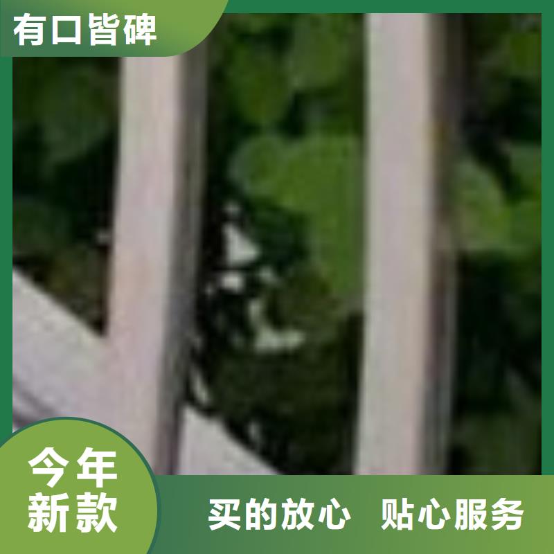 护栏品质卓越