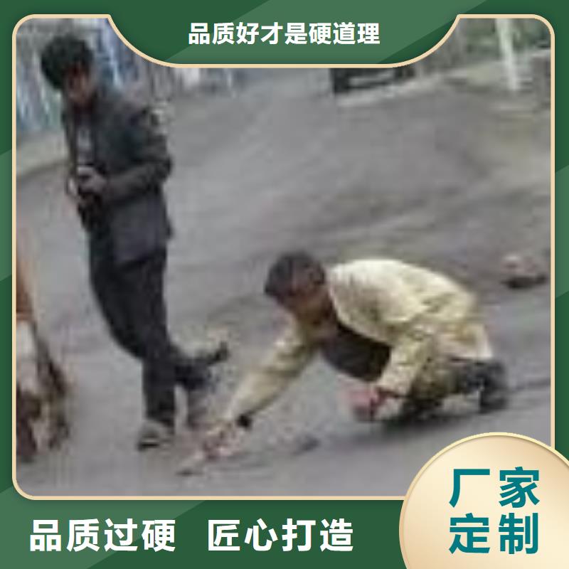 修補料-【注漿料】實體廠家