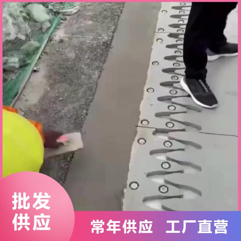 伸縮縫修補(bǔ)料灌漿料直銷廠家