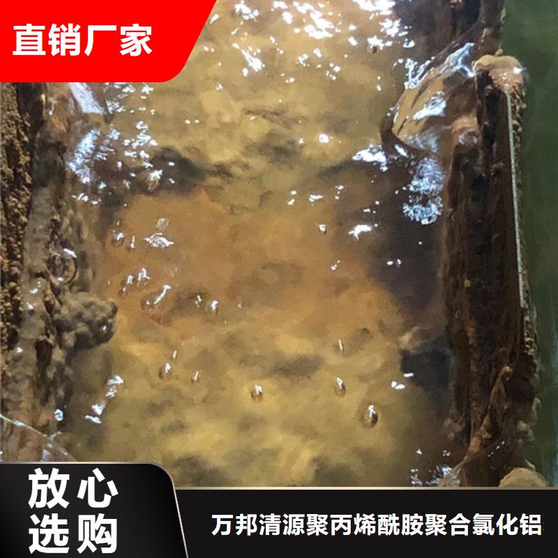 2025##孢子生物聚集劑廠家##有限公司