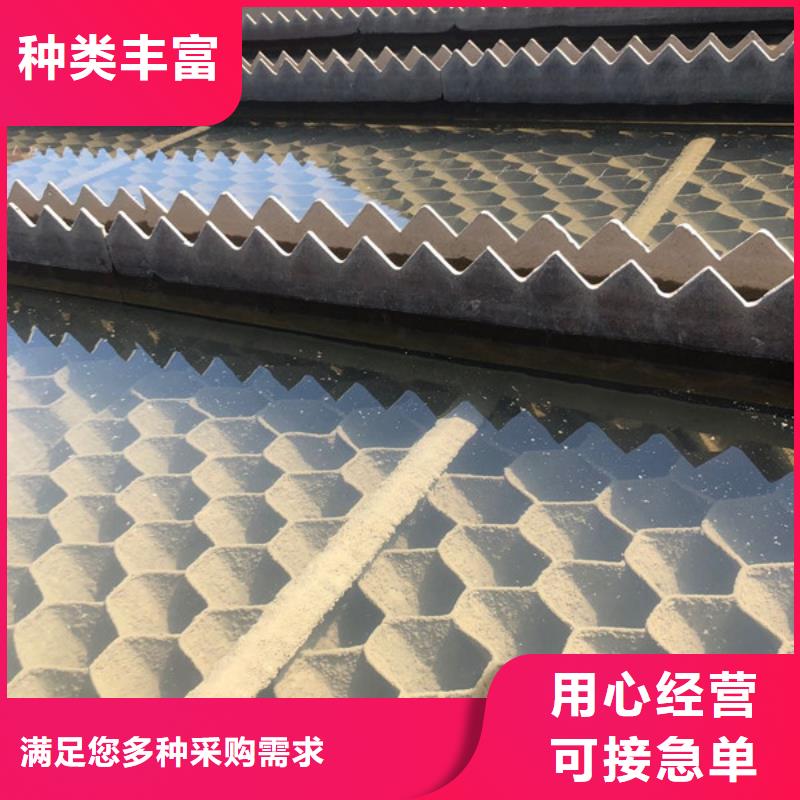 可信賴的孢子聚焦劑廠家