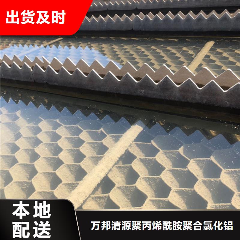 洗沙白藥資源