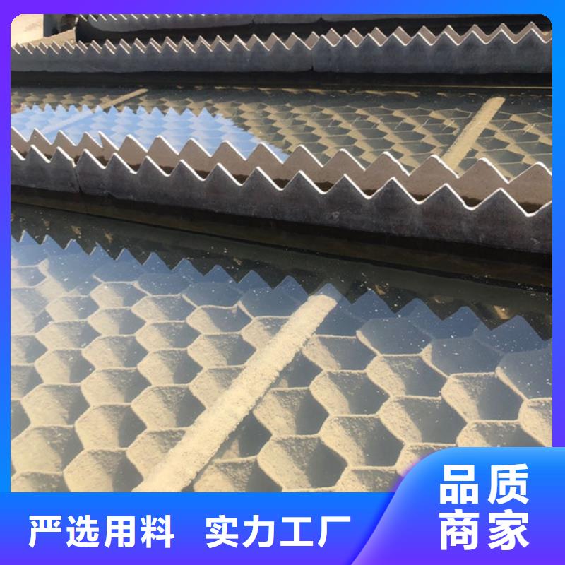 孢子聚焦劑廠家直接報價