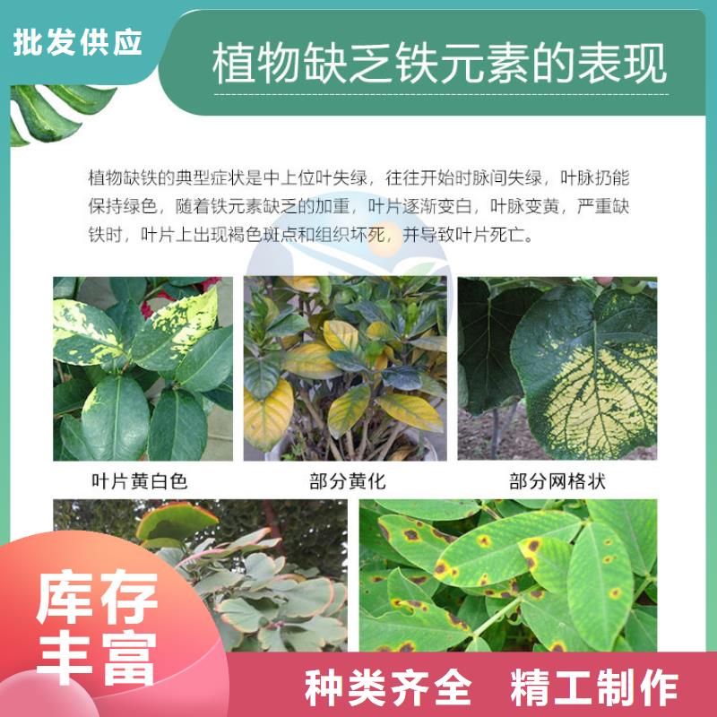 一水硫酸亚铁真诚的服务