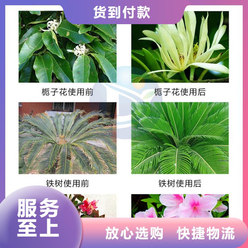 烘干硫酸亞鐵專業配送