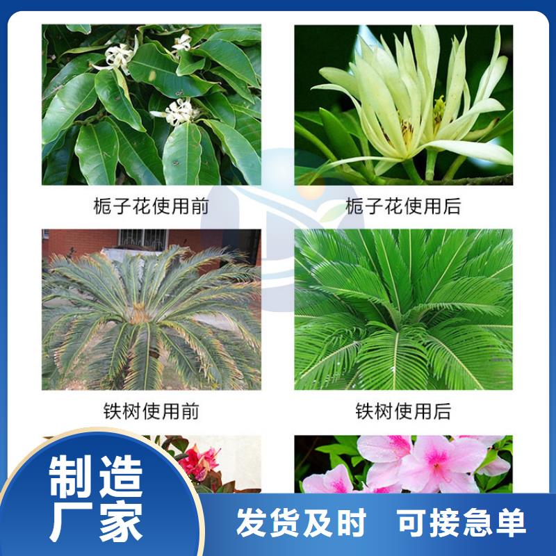 一水硫酸亚铁真诚的服务