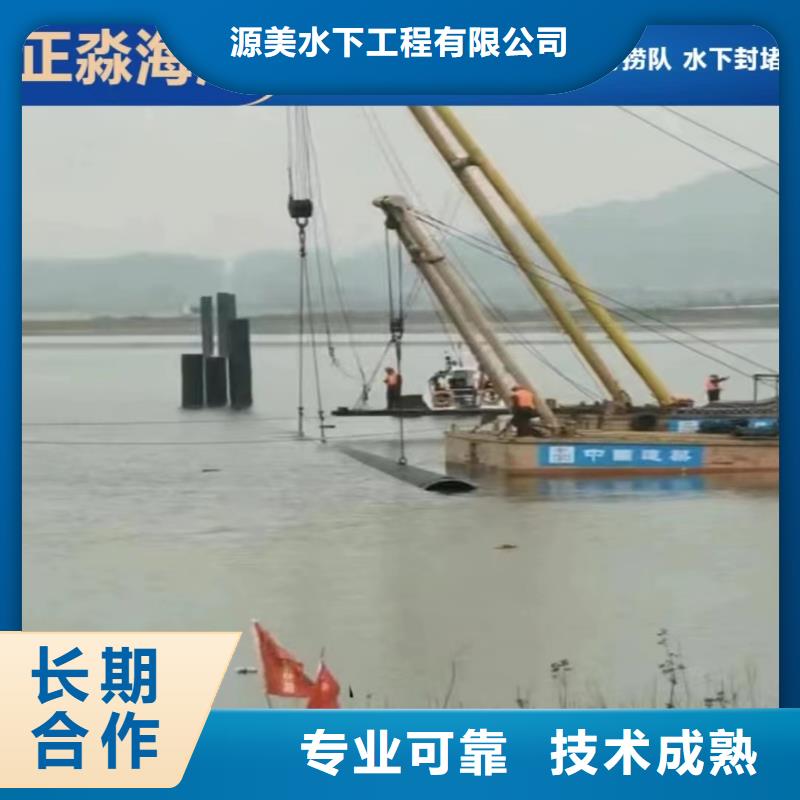 甘洛縣水下沉管機器人