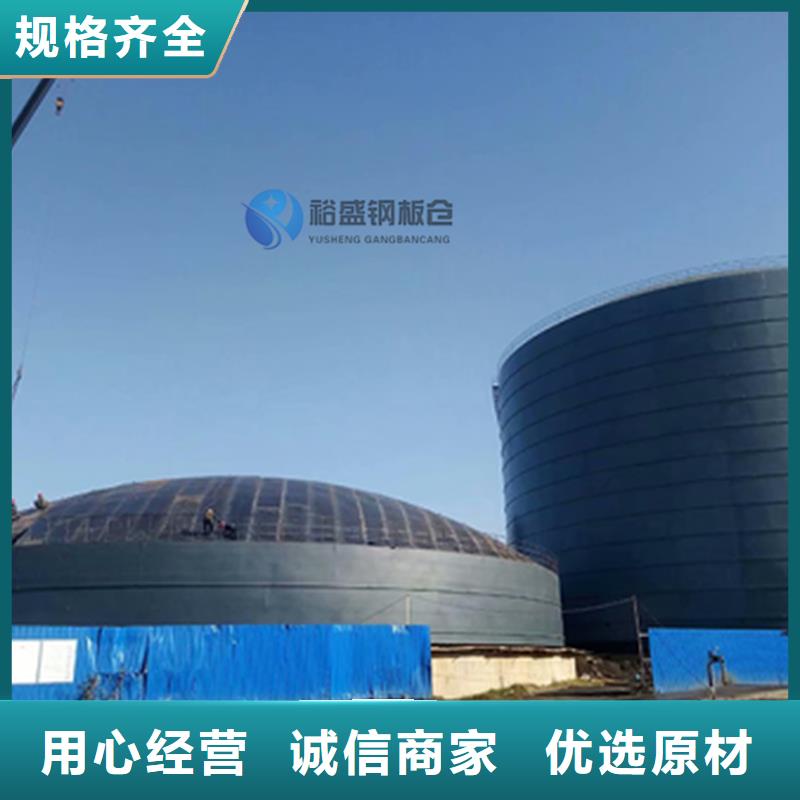 筒倉式鋼板倉大型廠家