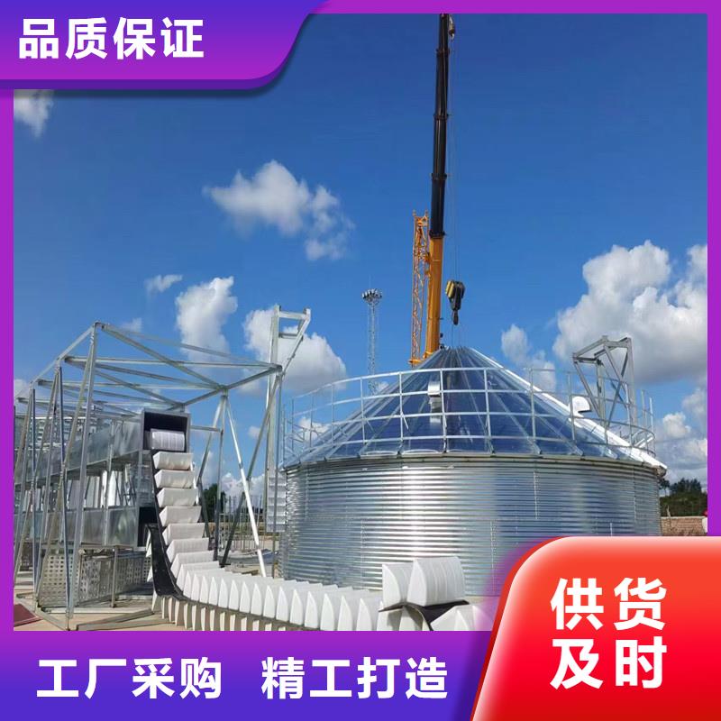 优质300吨玉米钢板库的批发商