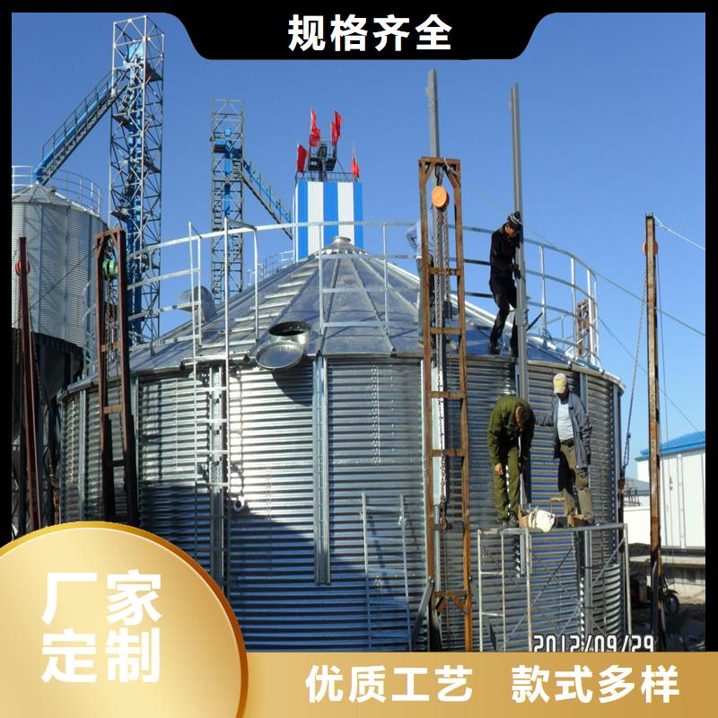 大型立式糧食筒倉(cāng)源頭廠家本地報(bào)價(jià)更優(yōu)惠