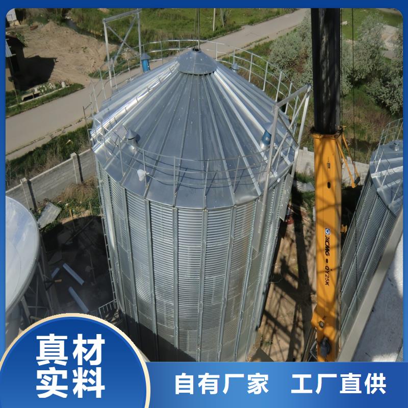 大豆装配式粮仓钢板仓生产厂家
