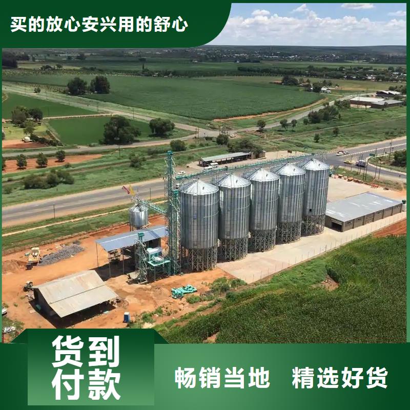 #玉米豆类钢板仓#性价比高