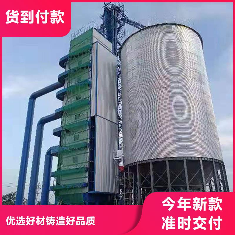 專業生產制造糧食倉儲設施的廠家