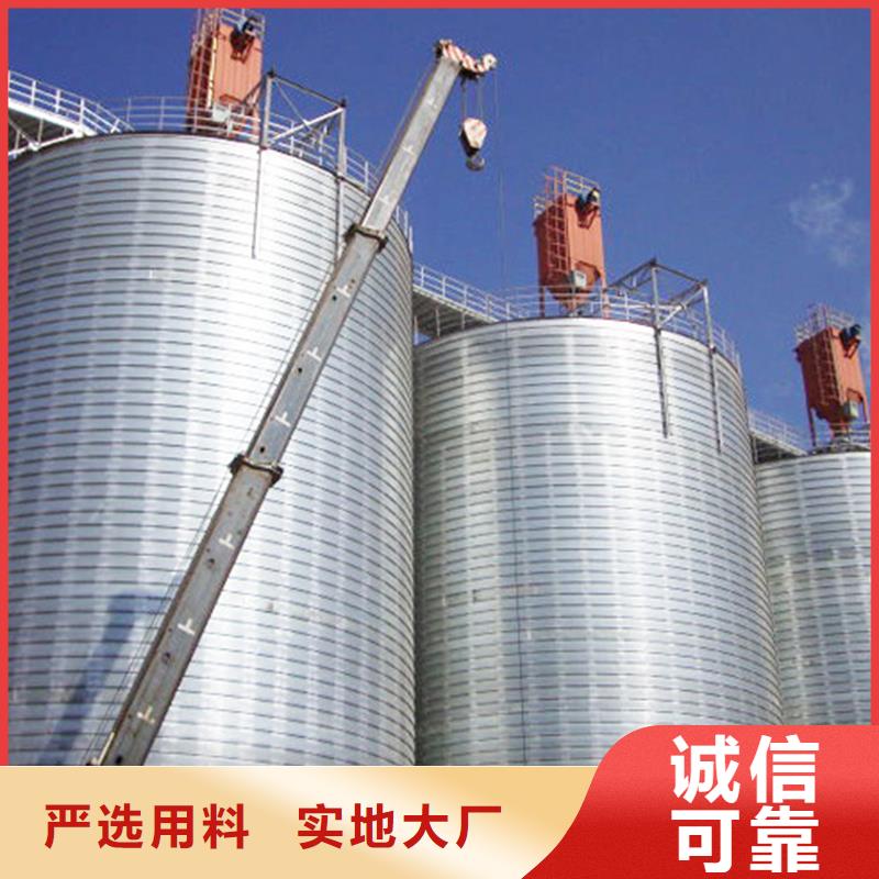 大型立式粮食储存仓工厂直销