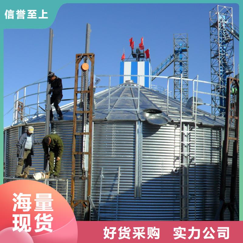 锥底装配式粮食仓-发货迅速