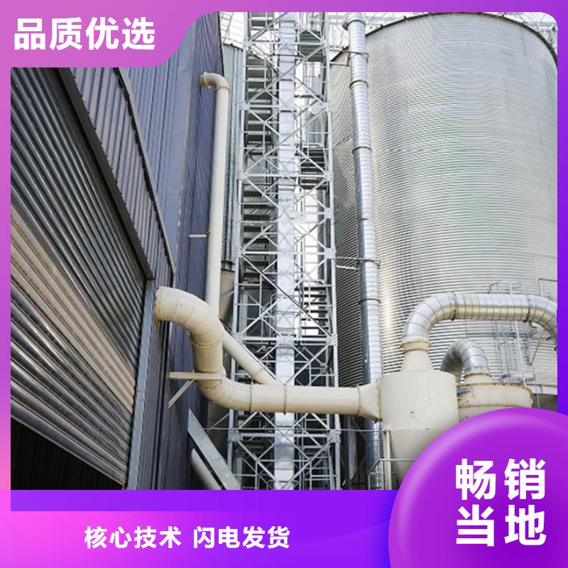 大型立式糧食筒倉(cāng)源頭廠家本地報(bào)價(jià)更優(yōu)惠