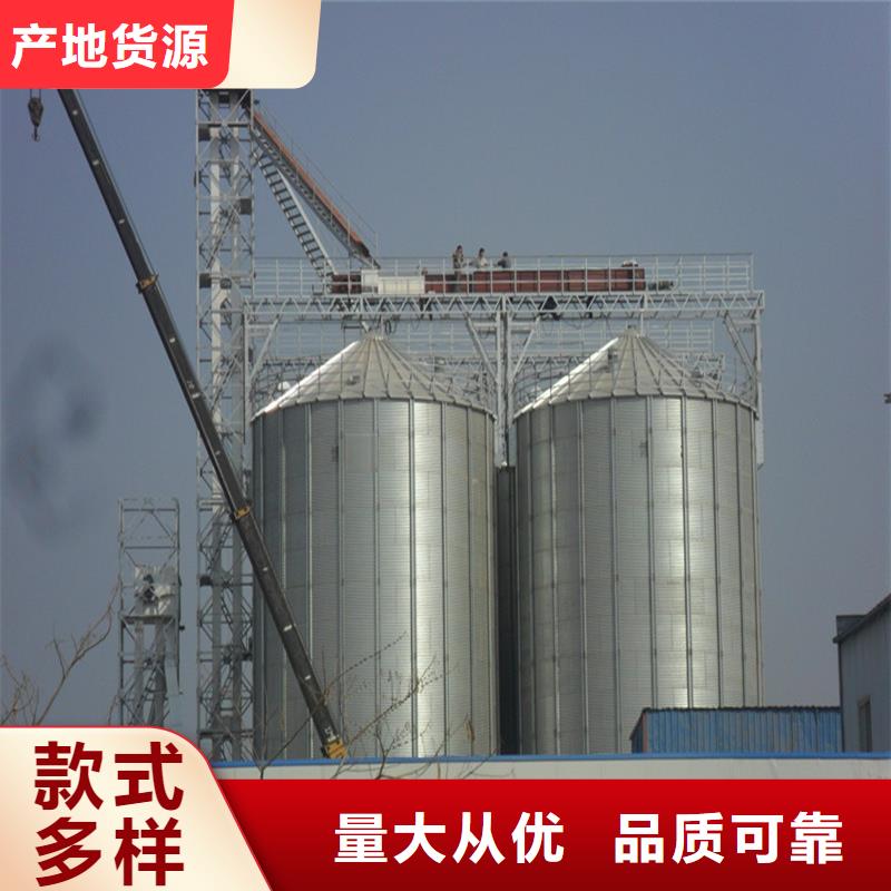 可定制的大型立式粮食筒仓实体厂家