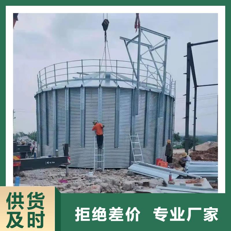 專業銷售300噸玉米鋼板倉-大型廠家