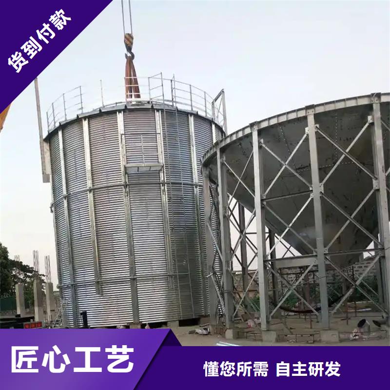 厂家直销 黄豆立筒仓厂家