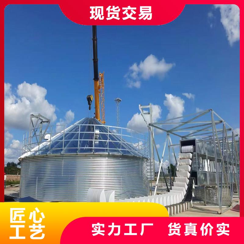 600噸玉米鋼板倉參數