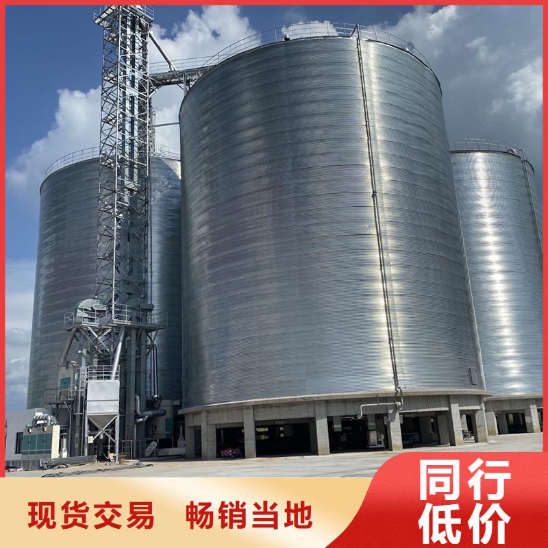 可定制的大型立式粮食筒仓实体厂家