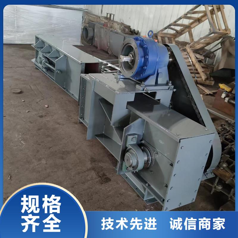 TD160斗式機價格廠家現貨