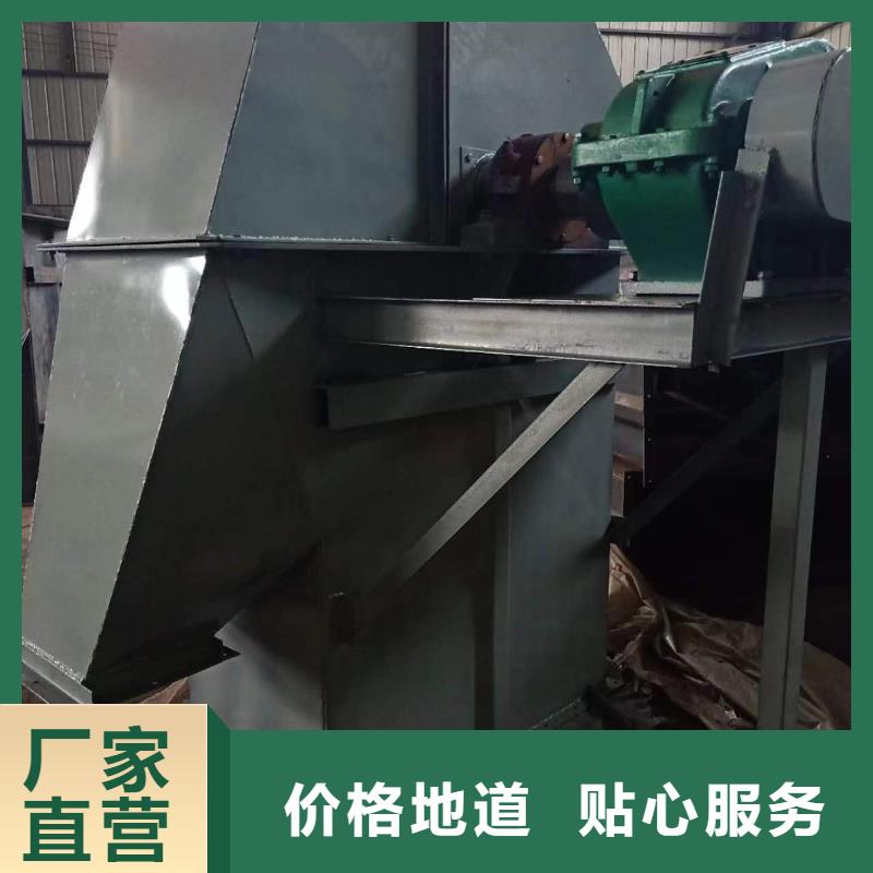NE板鏈型斗式機價格無中間商