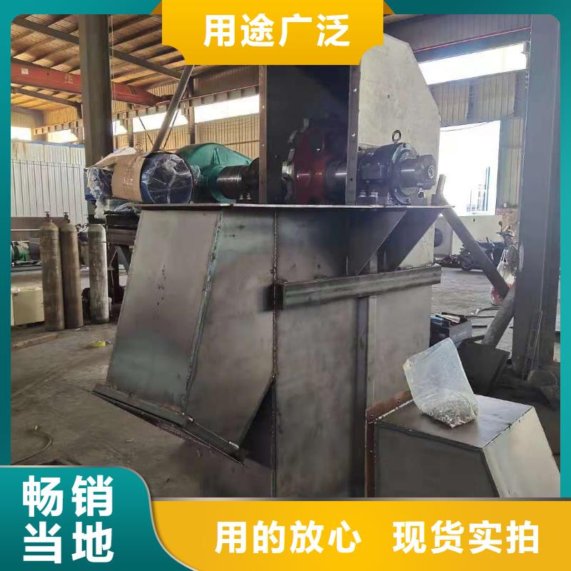 NE板鏈型斗式機廠家