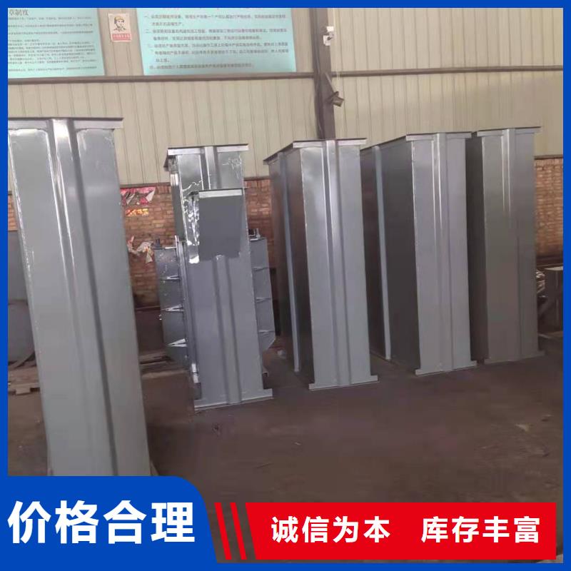 TD200斗式機專業生產廠家
