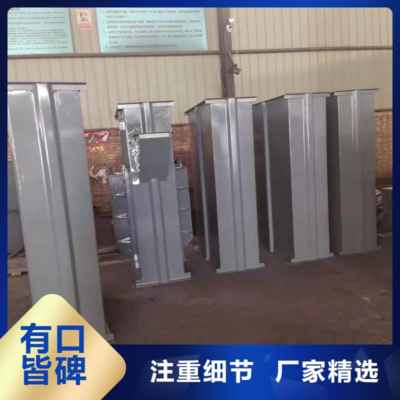 NE100鏈板斗式機(jī)價(jià)格中心